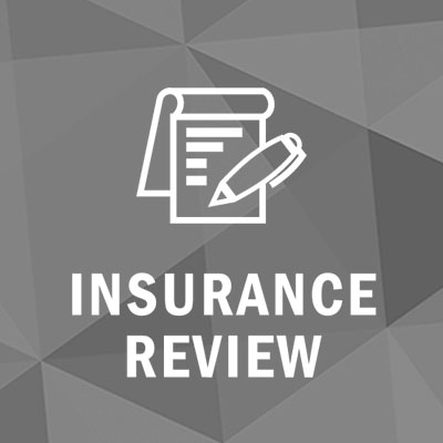 insurgence review
