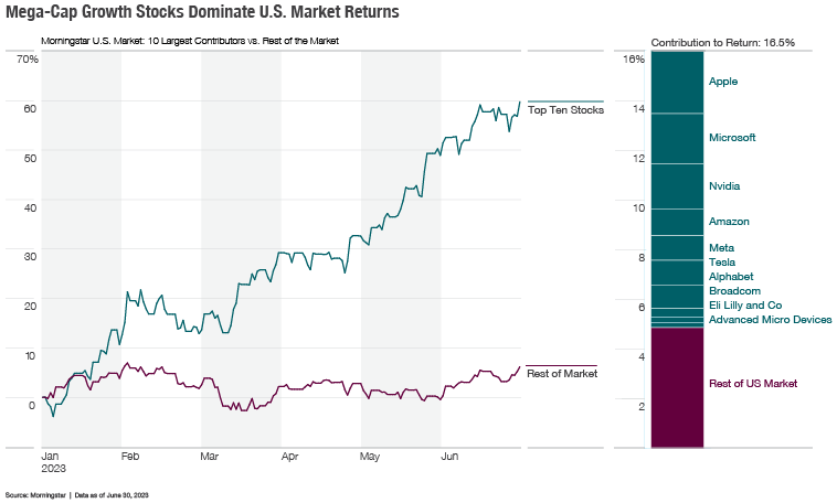 A chart showing the mega-cap growth stocks dominating U.S. market returns