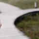 A hand holds a compass against the background of a wood plank path that eventually diverges into two paths.